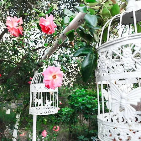 Holiday home Boho By The Sea House *